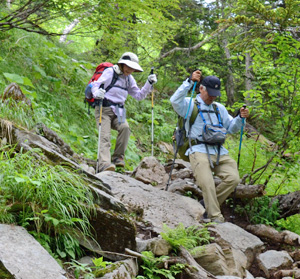 ストックを両手に持ち、登山道を下る登山者=南アルプス・北岳周辺