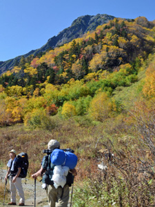 紅葉に染まる北岳を目指す登山客。紅葉は標高２０００メートル付近が見頃を迎えていて、ダケカンバやナナカマドなどが黄色や赤に色づいている