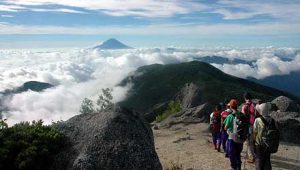 鳳凰三山の稜線(りょうせん)上では、雲海から顔を出す富士山が登山者の疲れを忘れさせる