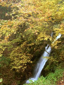 櫛形山林道 平成峡千代の滝 (南アルプス市高尾)