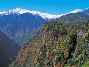 南アルプス林道・夜叉神峠