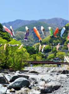 御勅使川の上空を泳ぐこいのぼり＝南アルプス市芦安地区