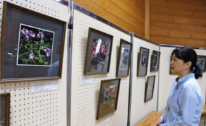 高山植物の写真の展示会＝富士川町最勝寺