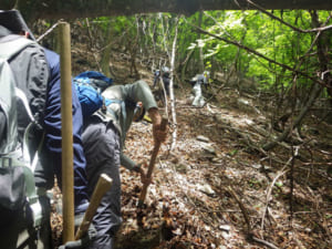 夜叉神西口登山道