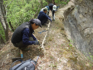 夜叉神西口登山道