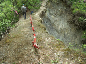 夜叉神西口登山道