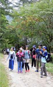 甲武信ケ岳の西沢渓谷をガイドと歩くイベントが開かれた。山梨市三富川浦の「道の駅みとみ」を発着点に、西沢山荘やつり橋、三重の滝を散策した