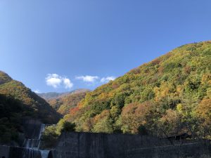 金山沢の紅葉　2019.11.10撮影