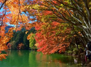 湖畔のモミジが紅葉した南伊奈ケ湖＝南アルプス市上市之瀬