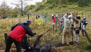 シカの食害からアヤメを守る柵の張り替え作業をする参加者＝南アルプス・櫛形山