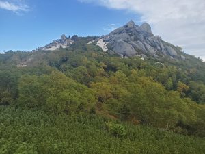 薬師岳（2020年9月27日朝 撮影）