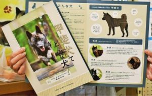 南アルプス市観光協会が作成した甲斐犬について紹介するパンフレット＝南アルプス市在家塚